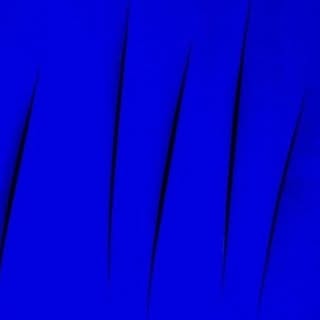 Blu Scarpa