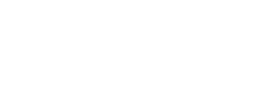VIZ Media