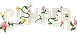 Camper
